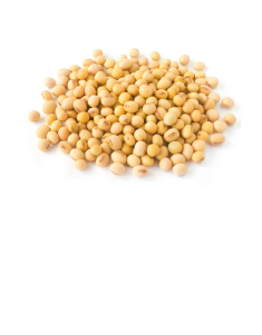 ナットウガム(ダイズ)