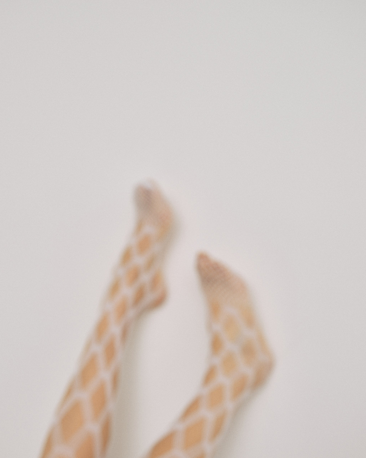 モデルイメージ1