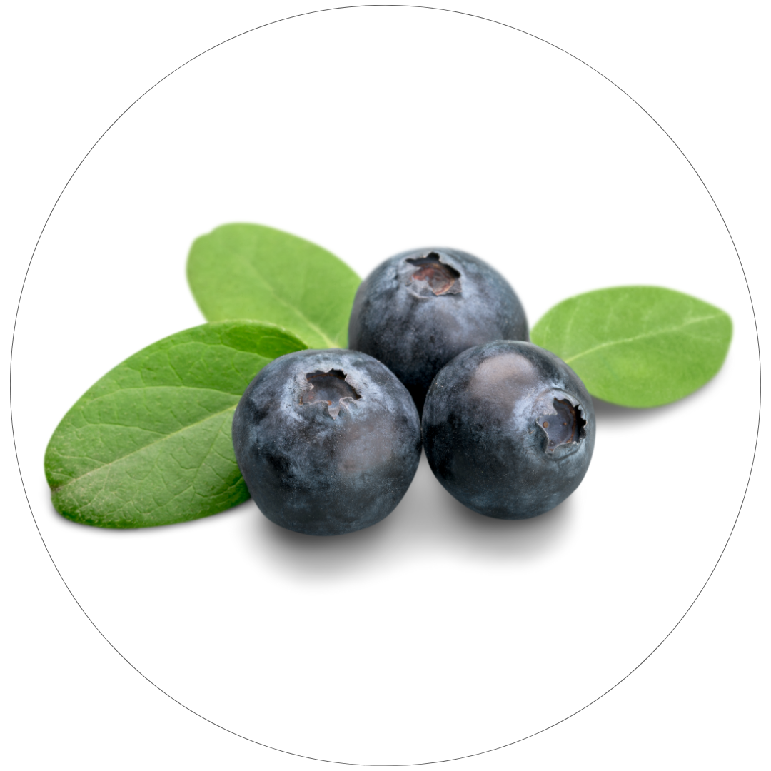 ビルベリー葉エキス