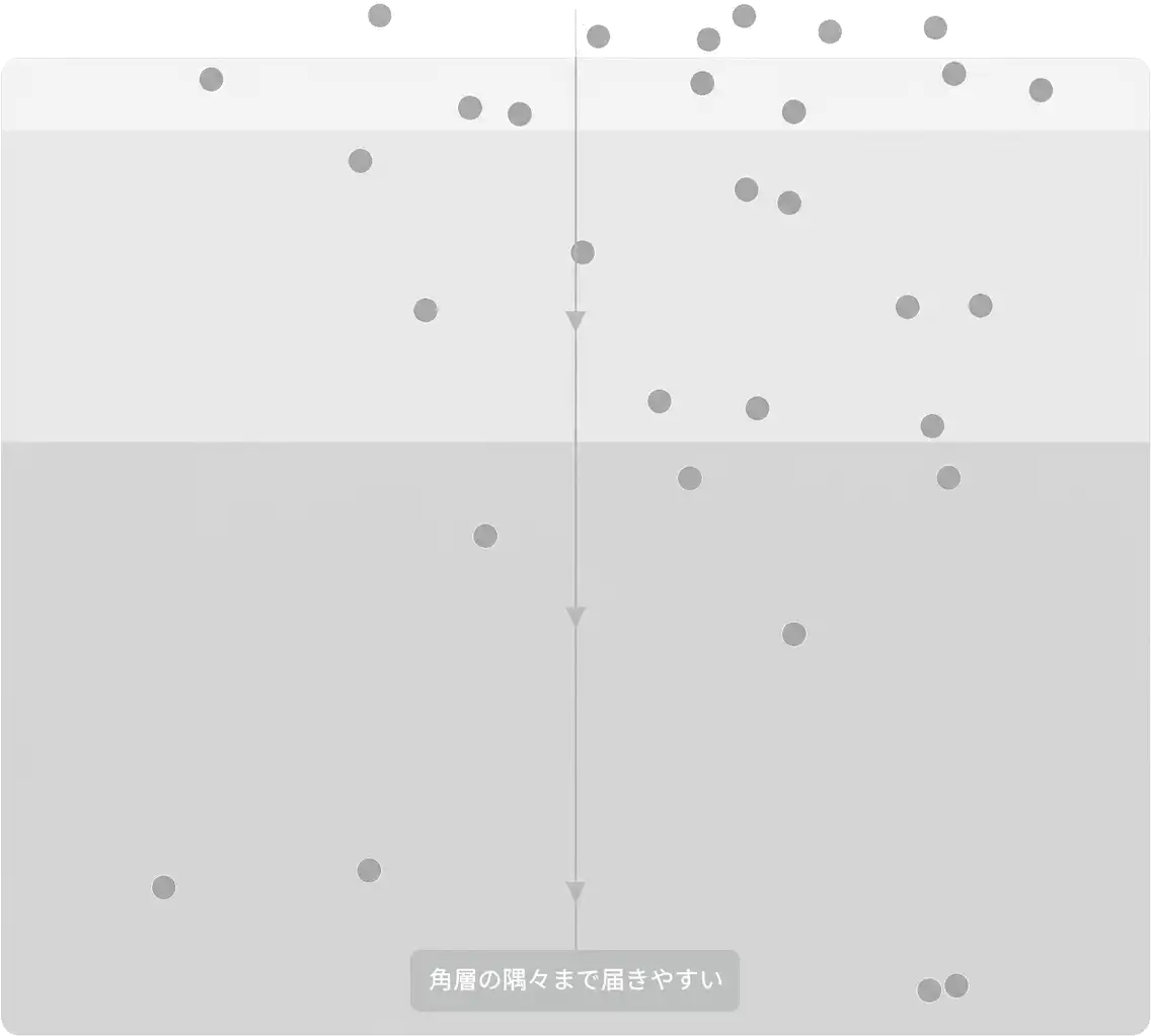 図解