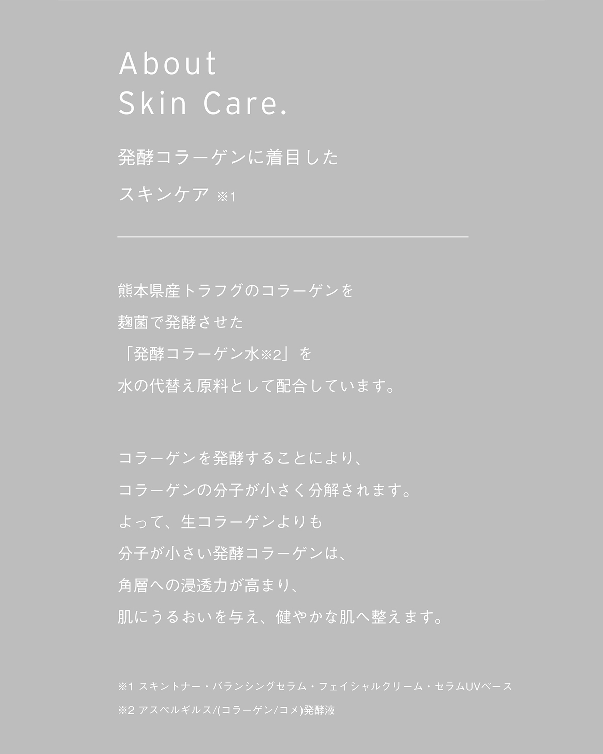 [発酵] スキントナー（化粧水）