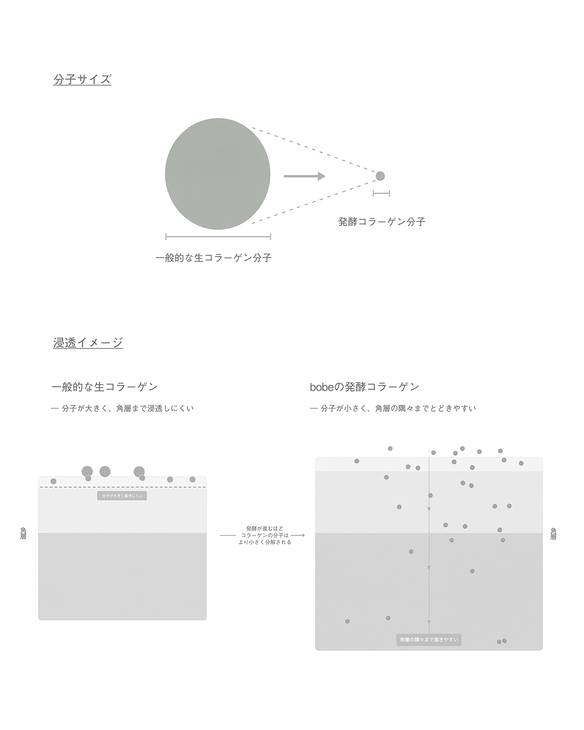 [発酵] スキントナー（化粧水）