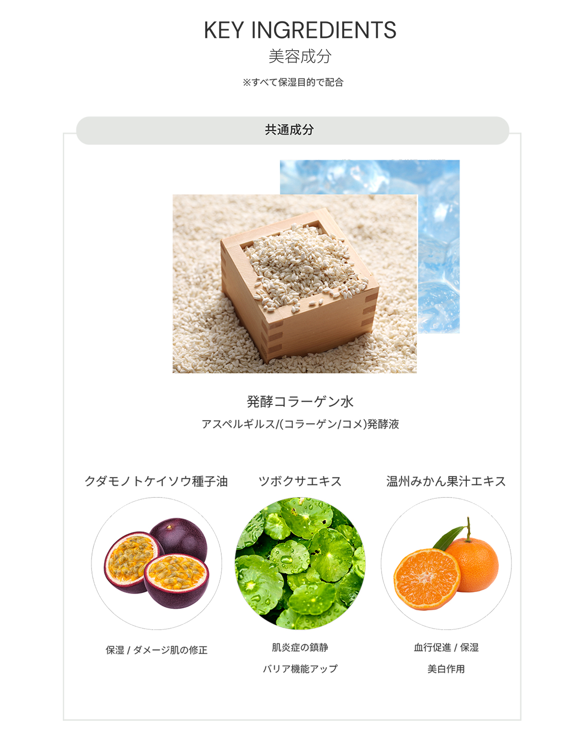 bobe セラムカラーベース 720 Mint Green