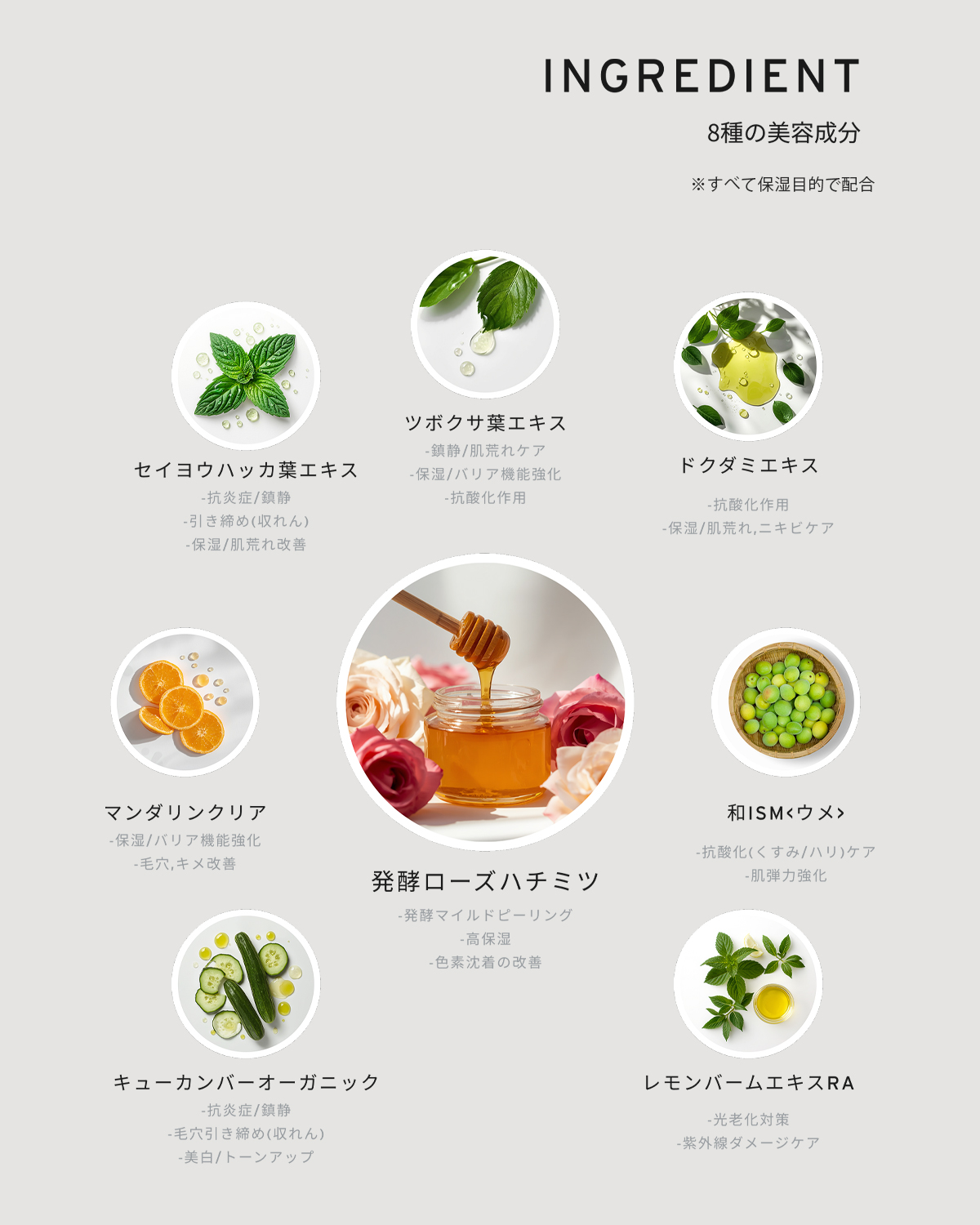 [発酵] フェイスウォッシュ（泡洗顔）