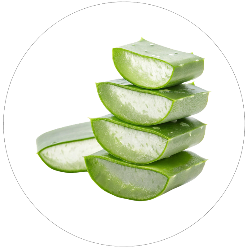 アロエベラ葉水