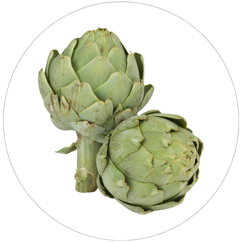 アーチチョーク葉エキス