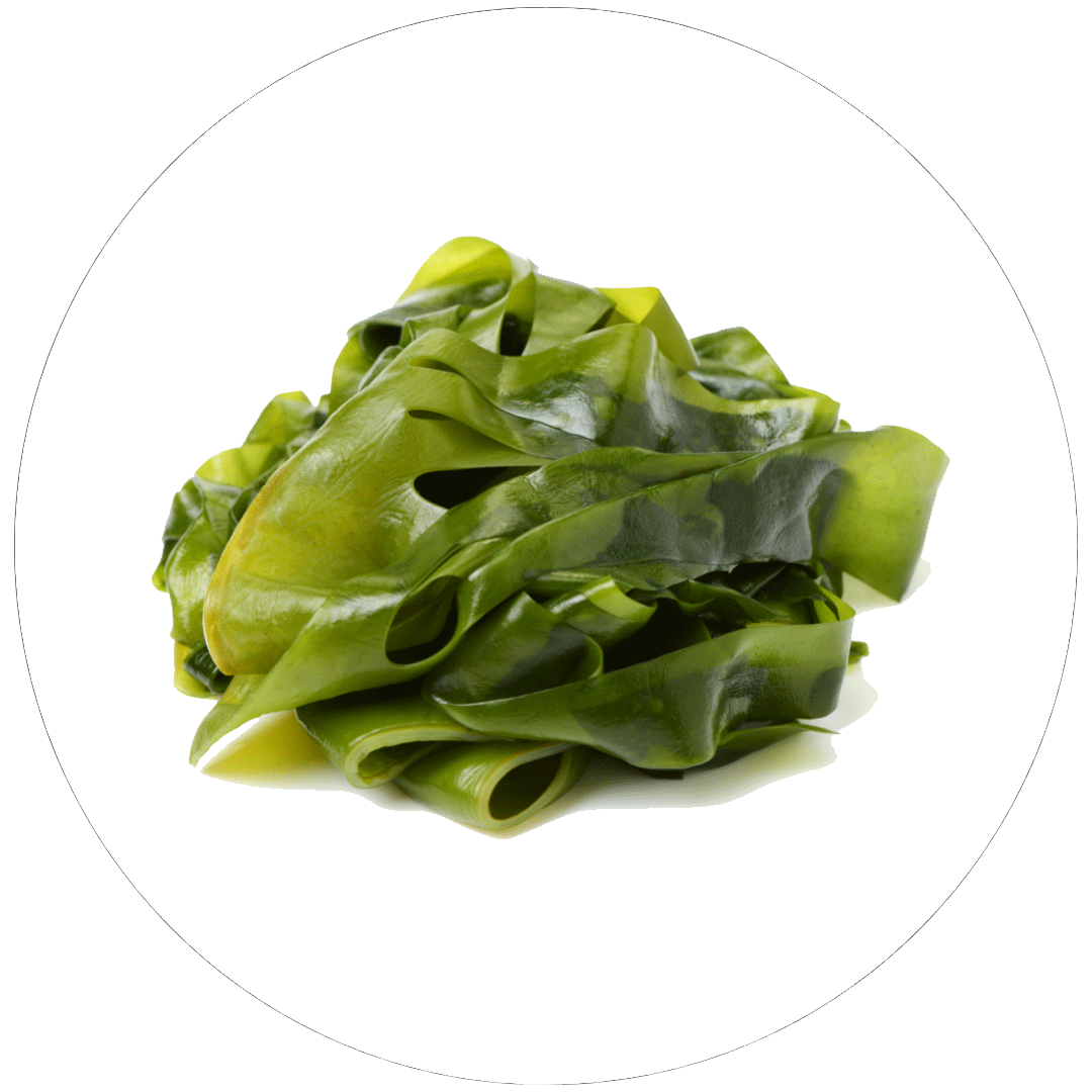 ラミナリアオクロロイカエキス